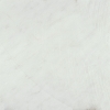 Winter Frost